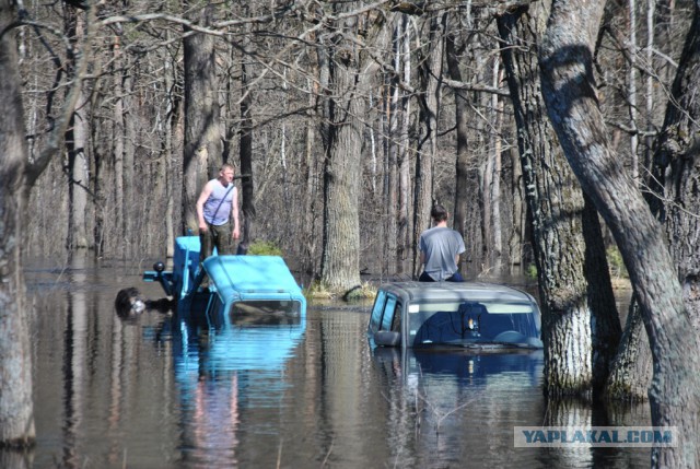 2121 или 33 года