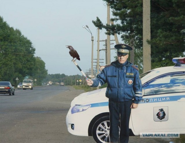 Жара была, жара плыла...