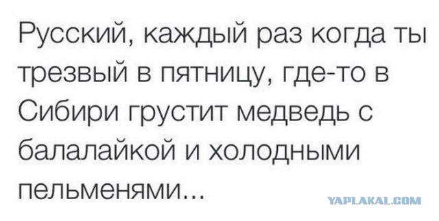 Смешные комментарии из соцсетей, картинки