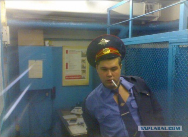 Веселые картинки