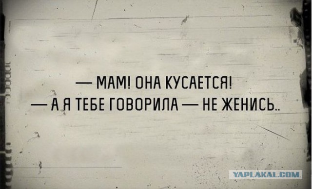 Анекдоты на четверг