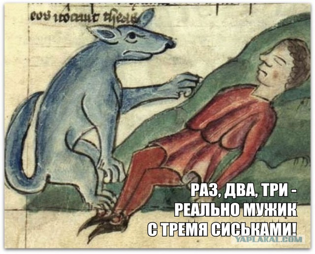 Средневековое веселье