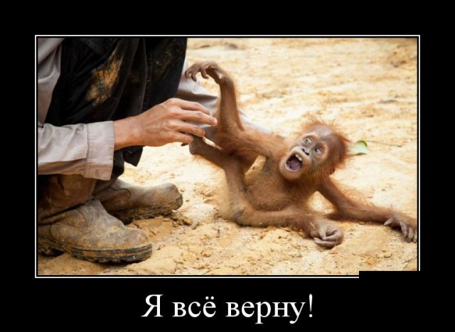 Пятничная подборка