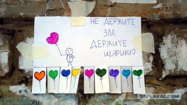 Забавные картинки из Сети