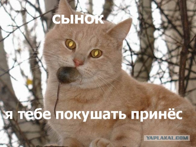 Спорим, вы не знали...