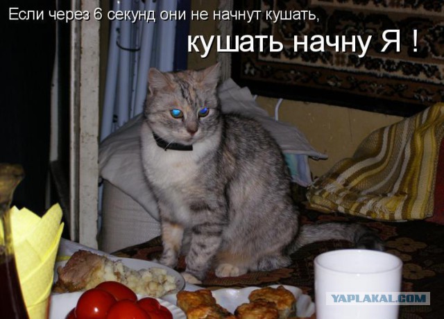 Подборка веселостей из сети