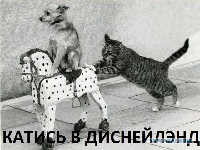 Зрелые обеспеченные мужчины просто подонки!