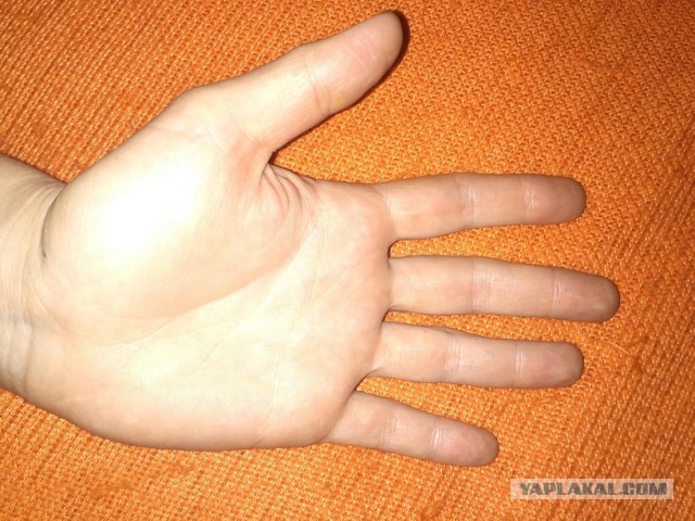 Исследую Хиромантию (Часть 2, спустя год)