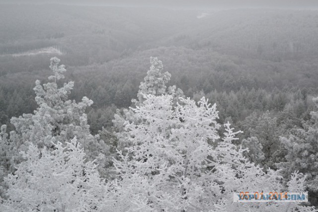Я узнал, что у меня есть огромная семья