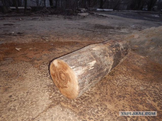 Сделаем ЭТО по быстрому!