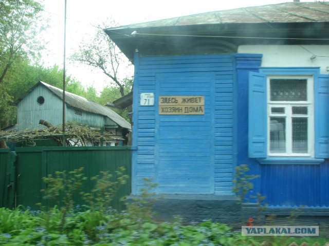 Черная быль