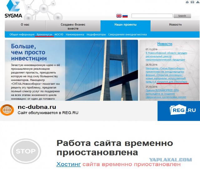 Чубайс отчитался Путину о достижениях «Роснано» за девять лет