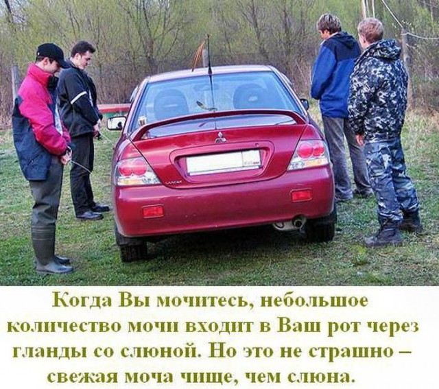 Неприятные факты, о которых вы не знали