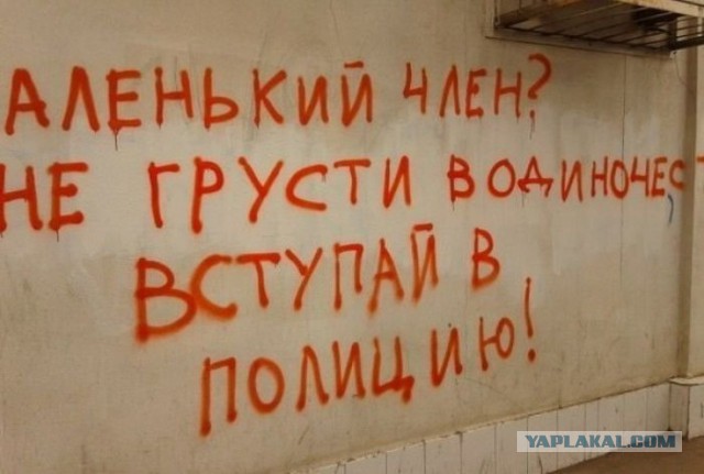 Порция пикчей из палаты №6
