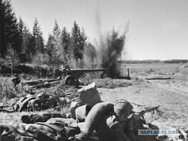 Смоленское сражение 1941 года. Ты помнишь, Алеша, дороги Смоленщины..