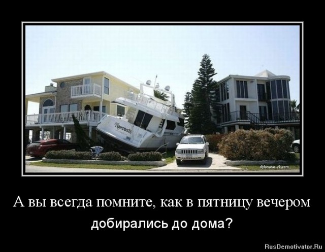 Картинки для настроения в пятницу.