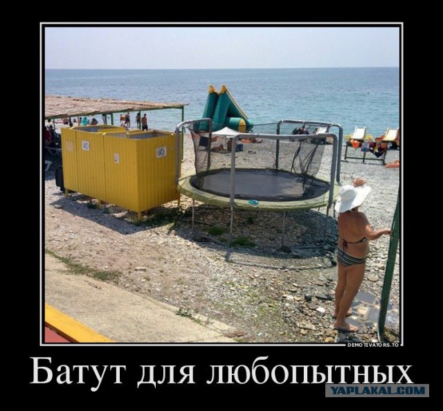 Работа не волк, но картинки сами себя не посмотрят!