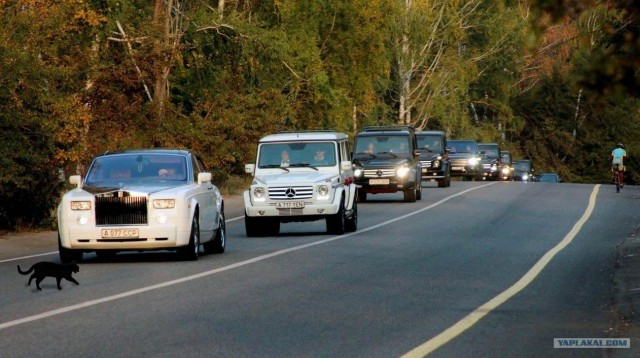 Так я обычно возвращаюсь домой