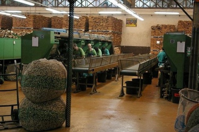 Из чего и как делают пробку