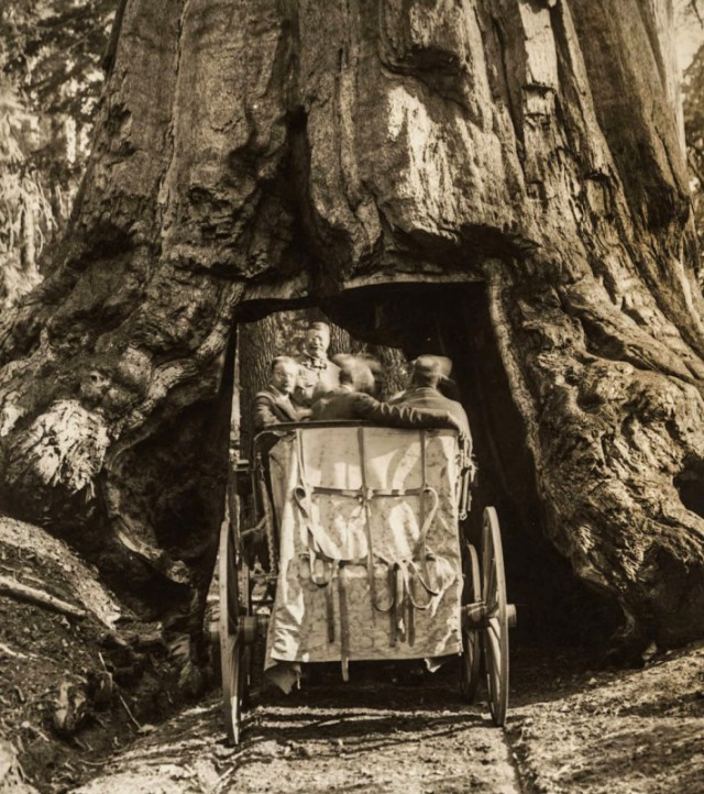 История в фотографиях