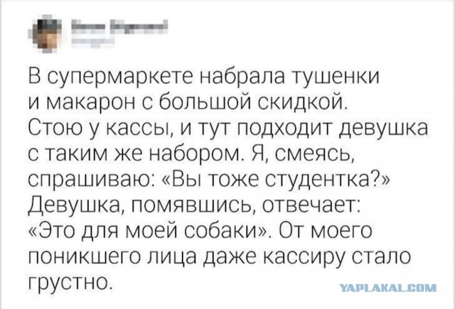 Скриншоты смешных комментариев