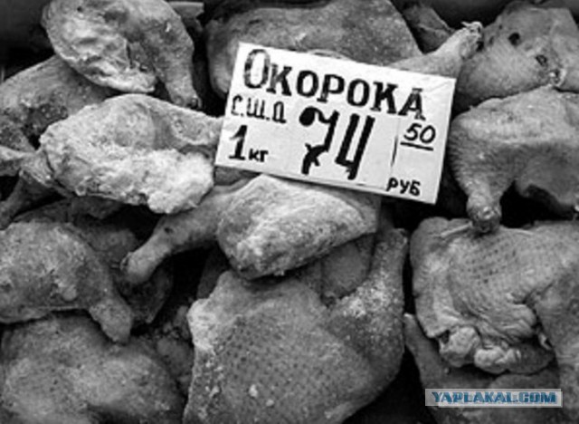 ⚡Путин заявил о приостановке участия России в ДРСМД в ответ на аналогичный шаг США