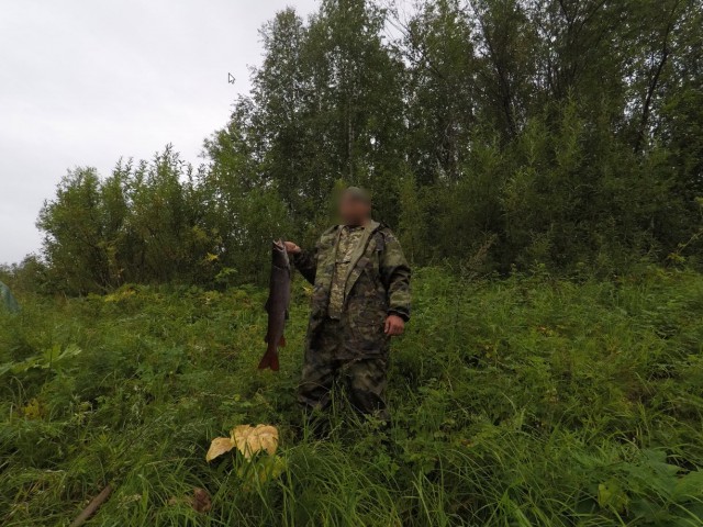 Соскучился по рыбалке