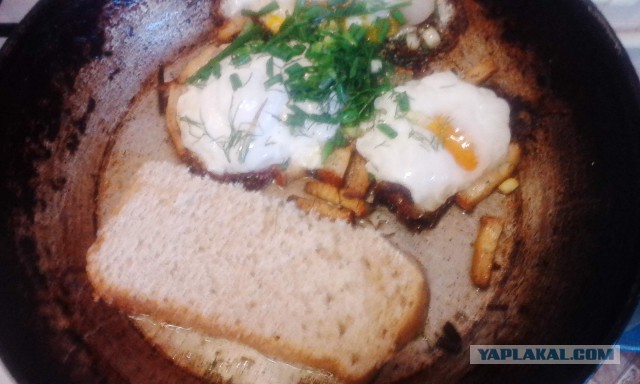 Кулинария для начинающих