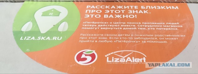 «Лиза Алерт» и история одного спасения