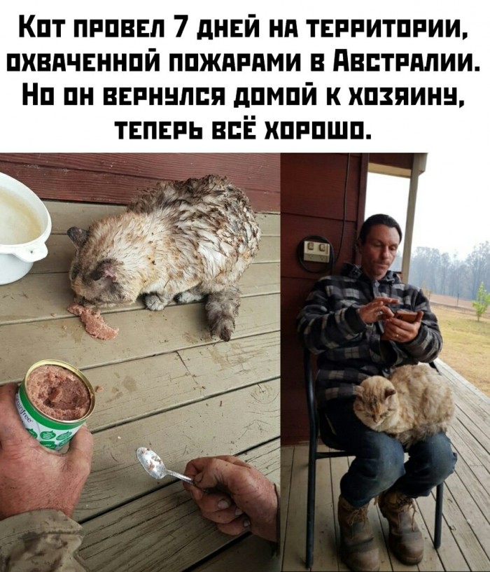 Весёлые картинки