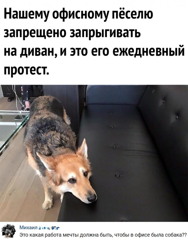 Чуток картинок. 03.05.20