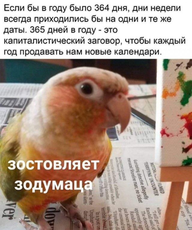 Бредзона 19.12.20
