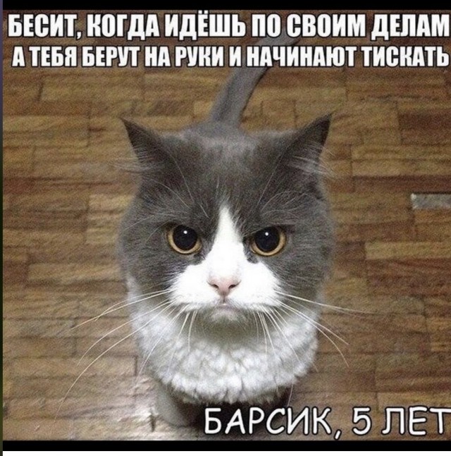 Картинки и мемы, всем прекрасных выходных