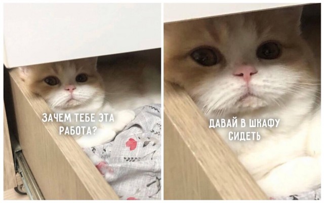Здесь будет Петербург