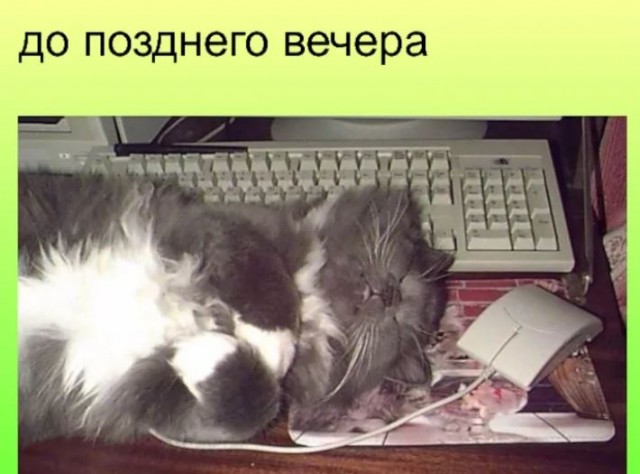Пандемия. Коронавирус. Россия и мир. Последняя информация. Часть 27