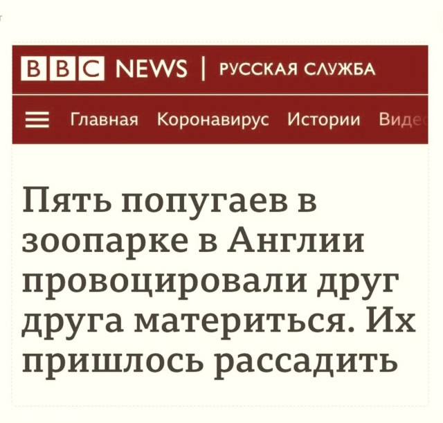 Так себе картинки 27.02.22
