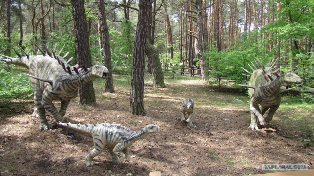 Поездка в парк динозавров (Польша)