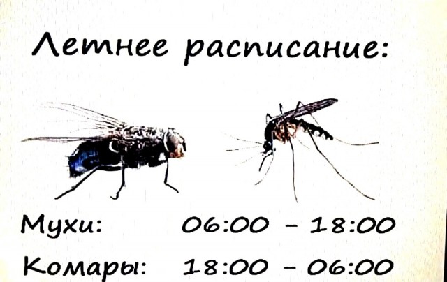 Баянисто-небаянистый юмор 7.06.22