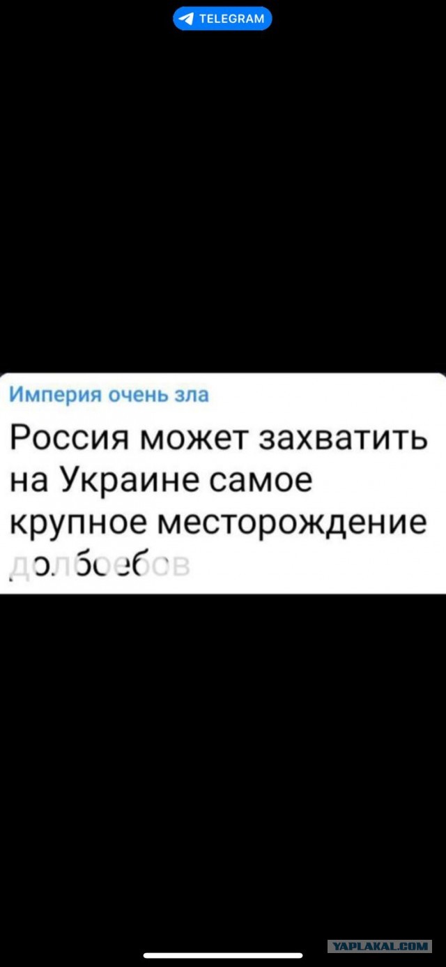 IRI: Зеленского на посту президента поддерживает 91% украинцев