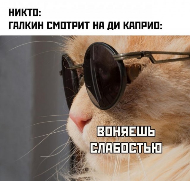 Немного картинок для настроения - 114