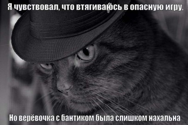 Картинки и мемы для настроения - 119