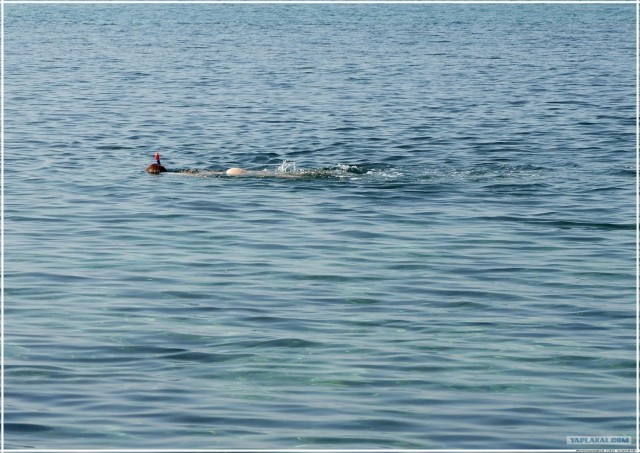 Крым. Фиолент. Маяк.