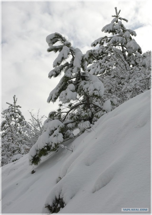 Крым. Терновка. Зимние дороги.