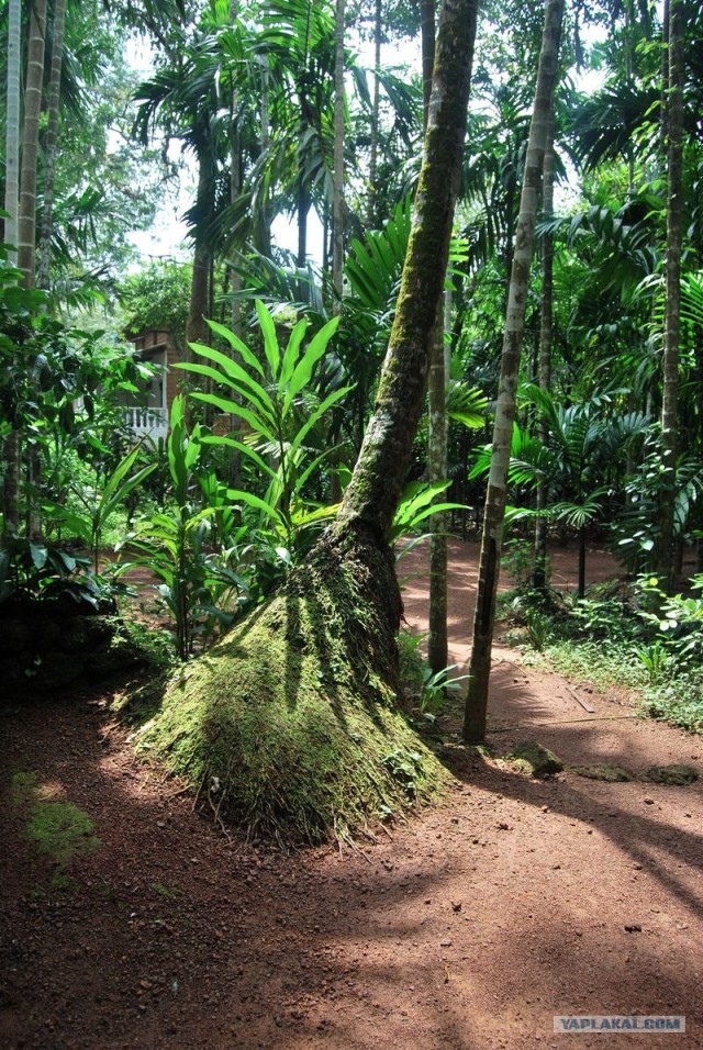 ГоА свои впечатления