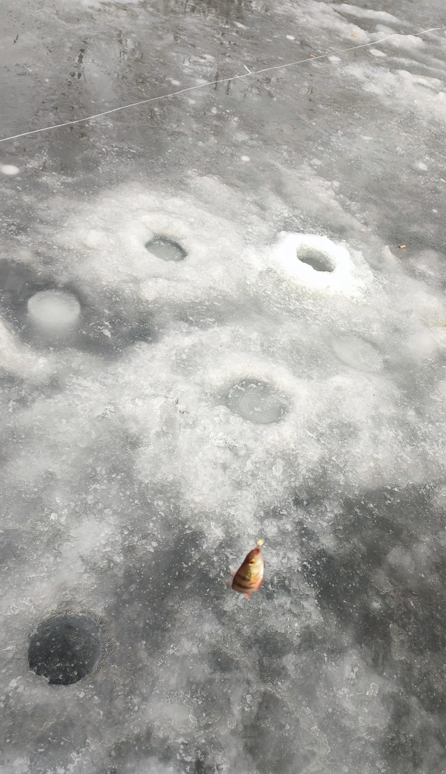 Рыбалка