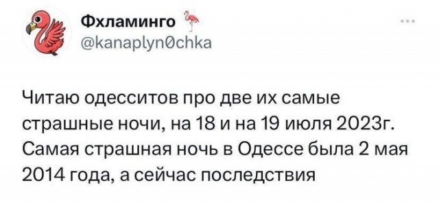 Когда память как у рыбок