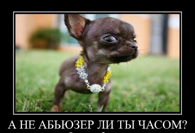 Бодипозитив⁠⁠