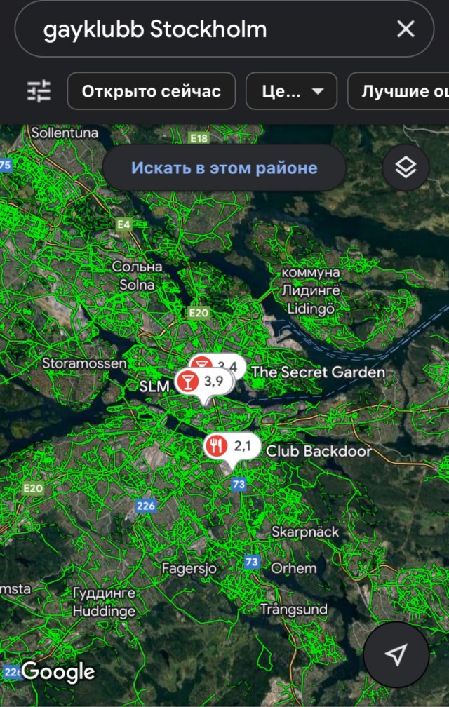 Шведская армия отмечает день **дораса