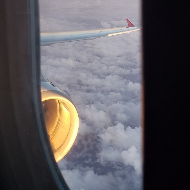 Почему люди ездят в отпуск в одно и то же место.