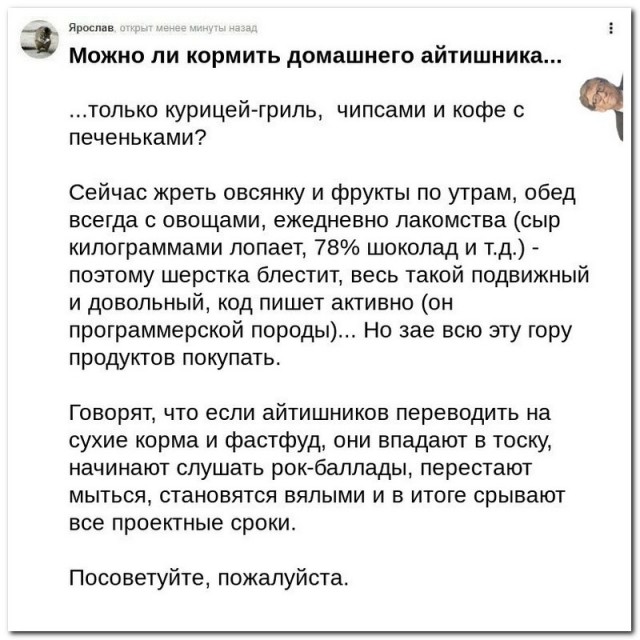 Забавные комментарии из социальных сетей (23.10.23)